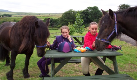 Things to do horse riding peersclough picnic rides